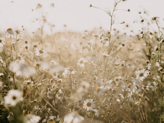 3 simple habits to get you spending time outside