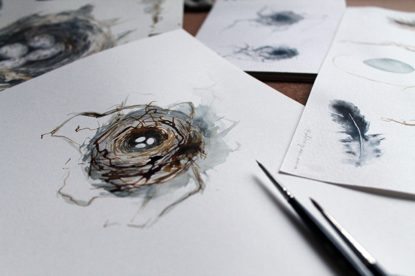 Paint a bird nest workshop