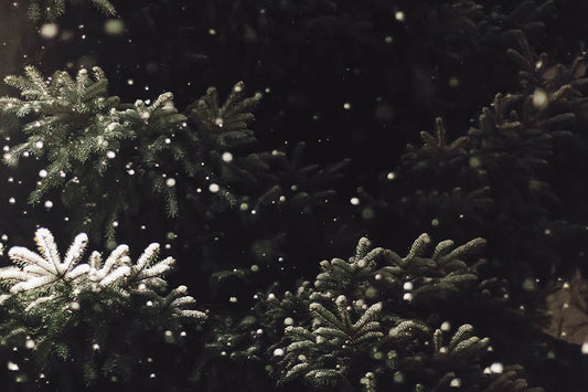 Enchant Your Winter Gift List