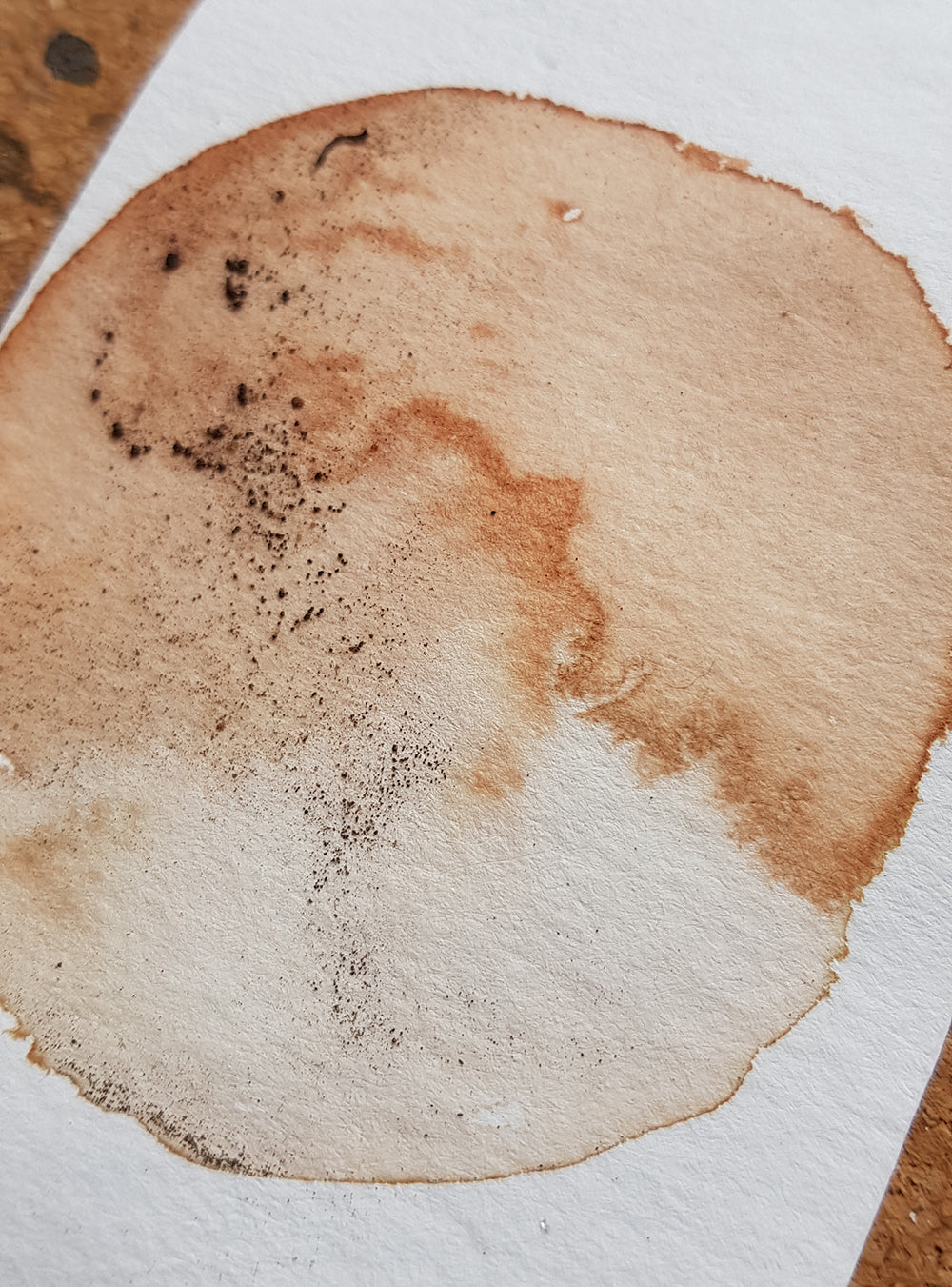 Making willow leaf ink