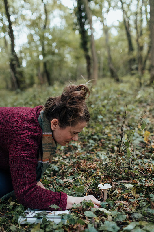 Five teachings from the forest
