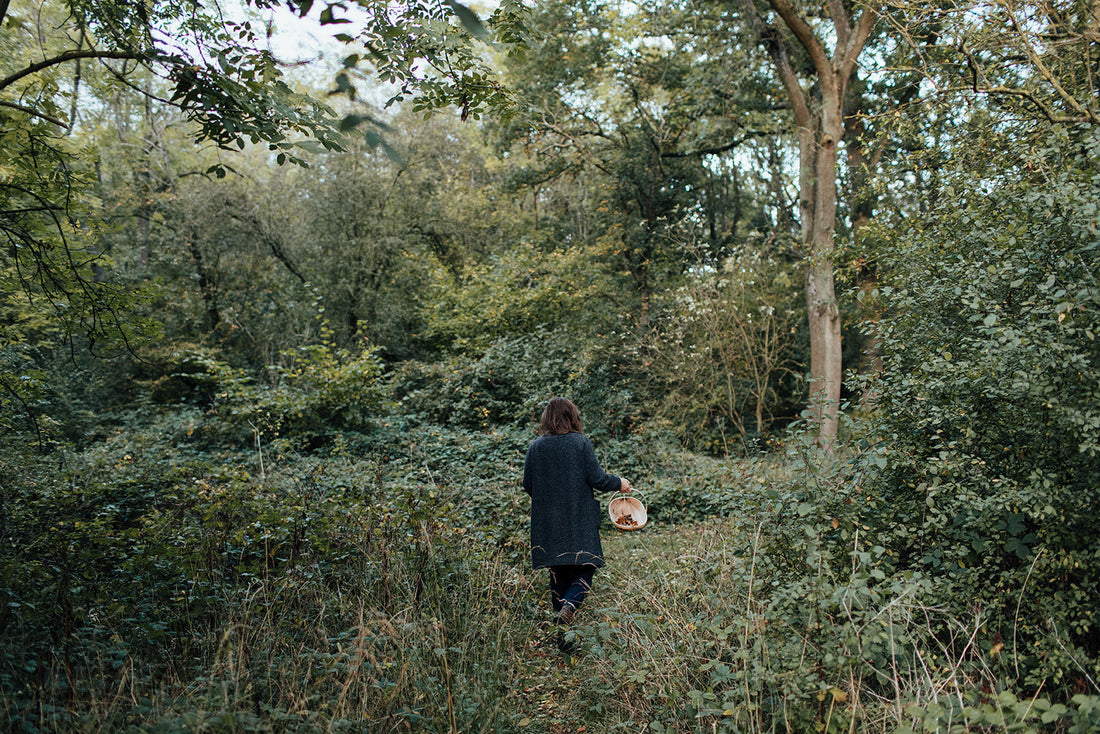 'Among the trees' community creative project for National Tree Week 2025