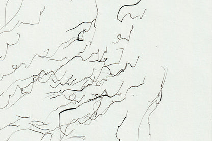 Can't stop me I | Ripple dip pen and ink line drawing