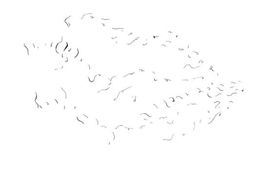 Beginning I | Ripple dip pen and ink line drawing