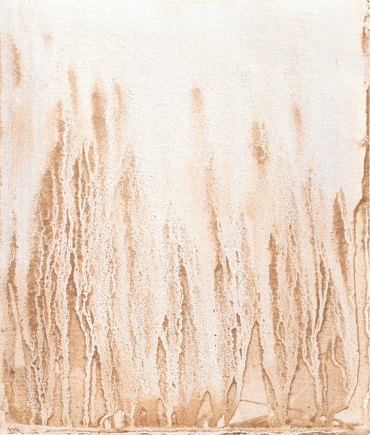 Pre-order | 'In the quiet depths' reproduction print