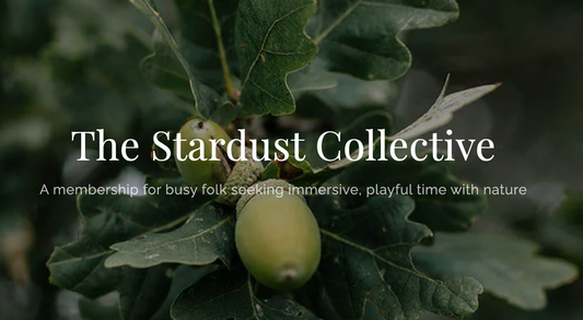 The Stardust Collective gift subscription