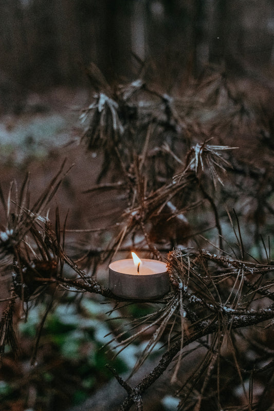 candle in pine tree