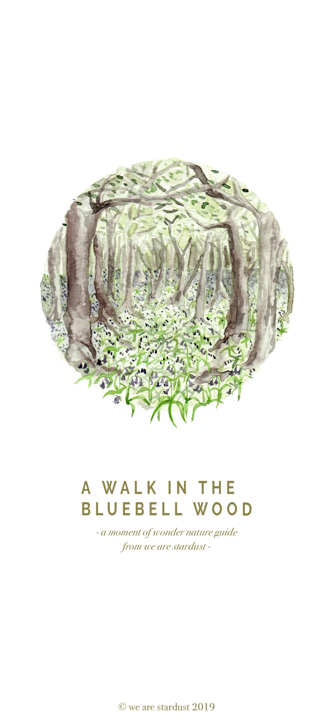 Spring bluebell nature guide - printable