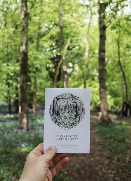 Spring bluebell nature guide - printable